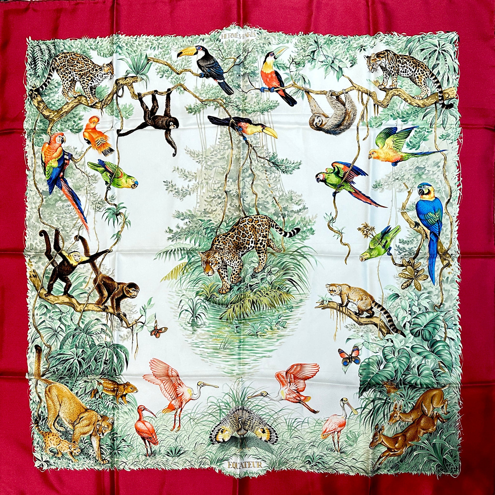 IMG_0337_c5b3fc3e-aa1f-45d1-  