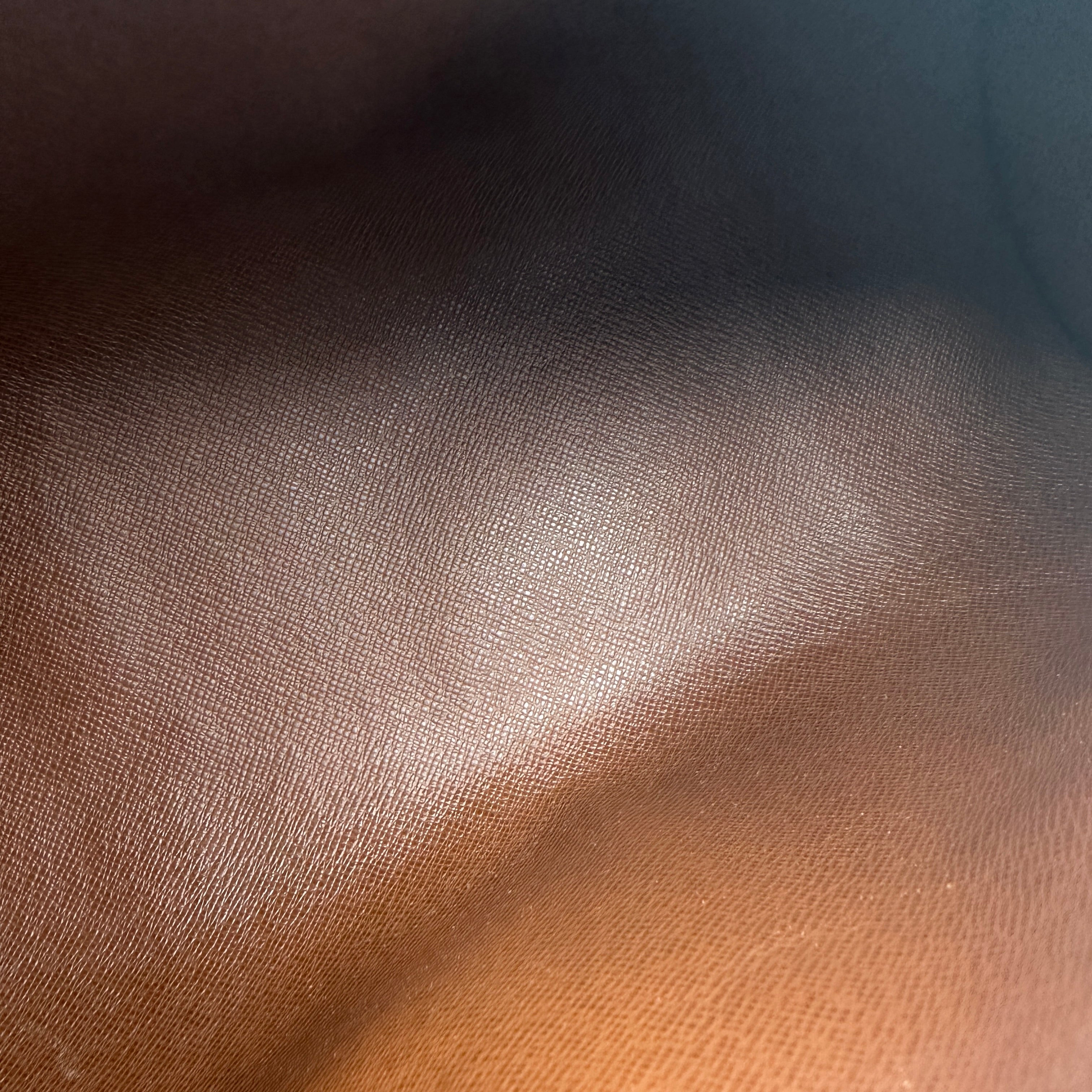 LOUIS VUITTON ルイ・ヴィトン パピヨン27