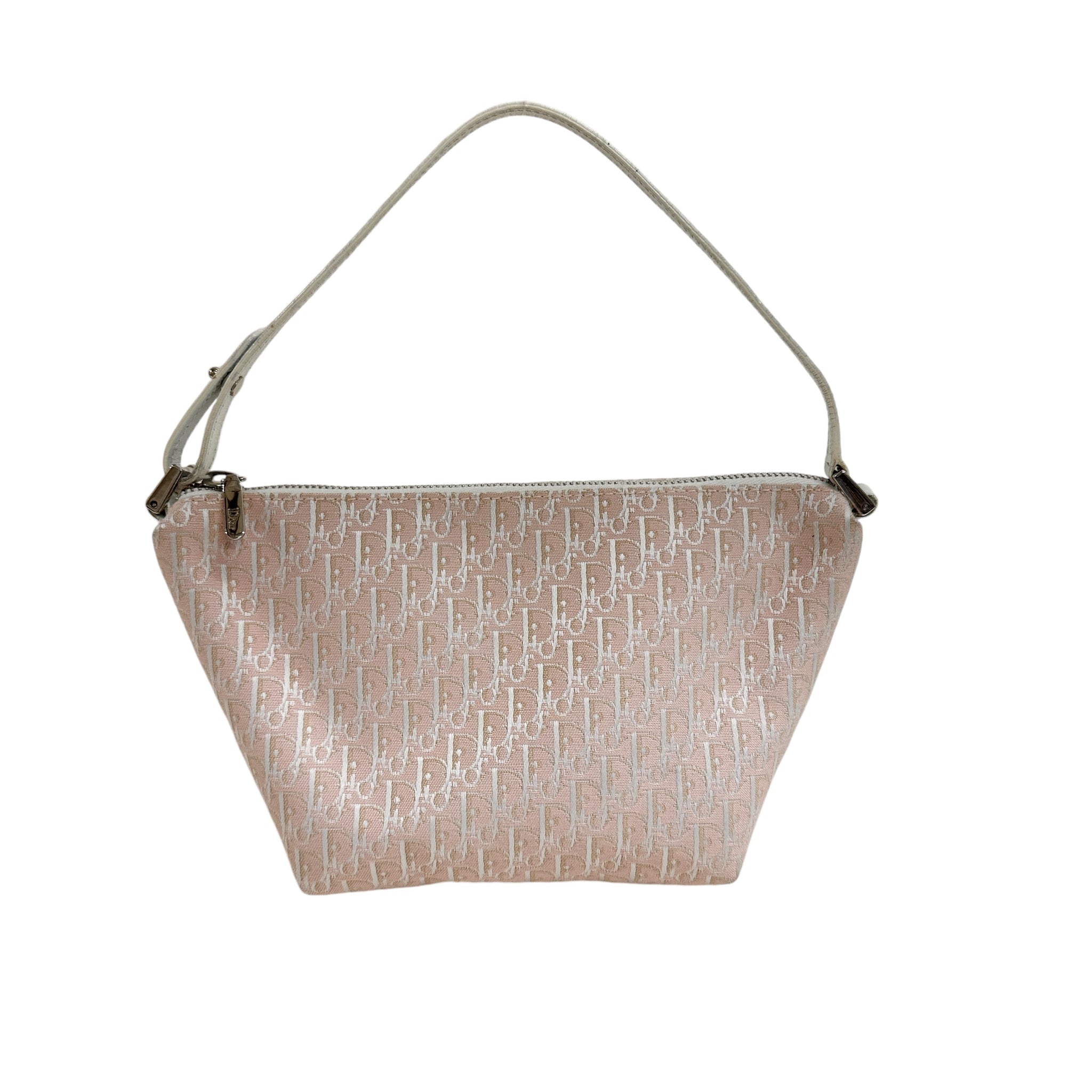 Christian Dior ディオール トロッター アクセサリーポーチ 