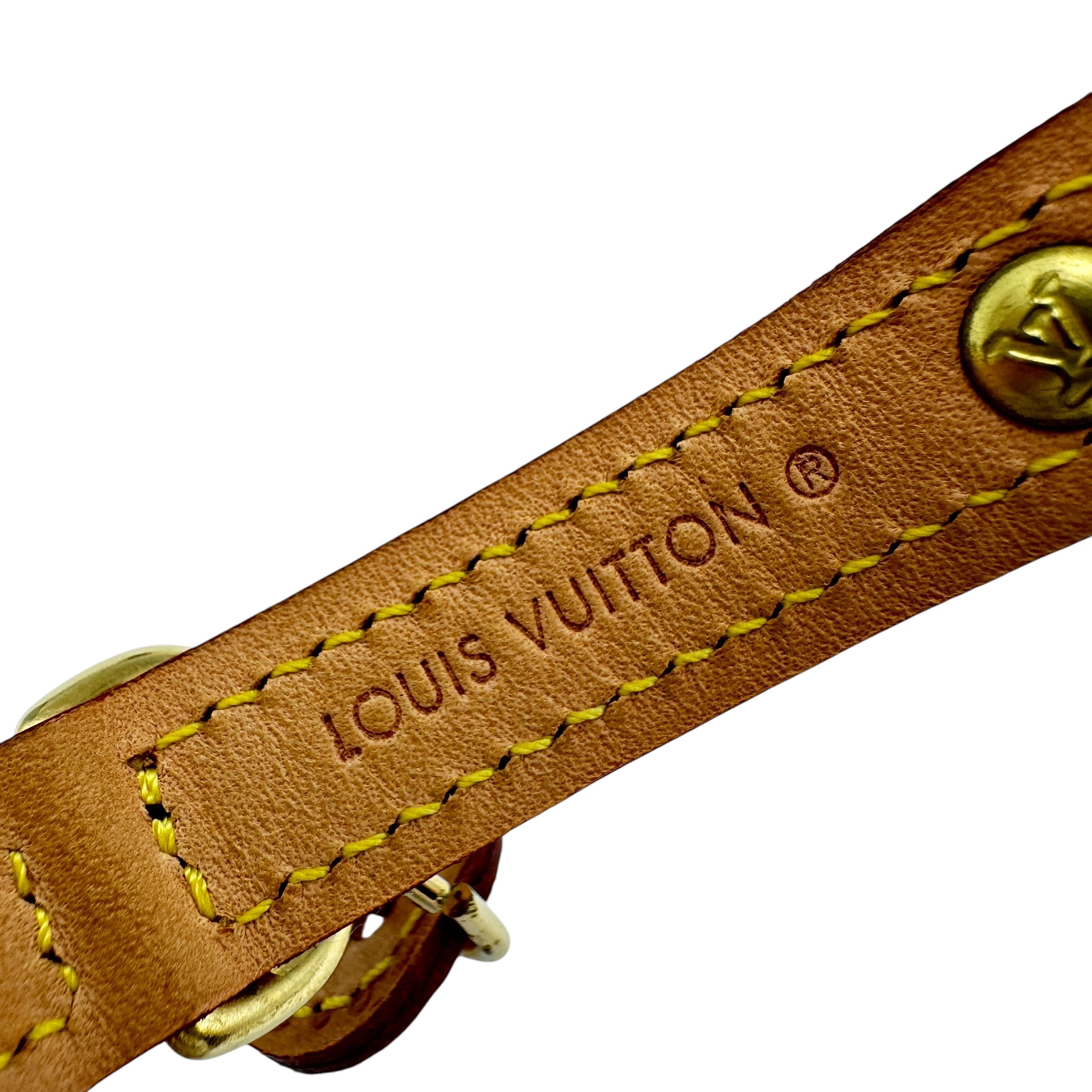 LOUIS VUITTON ルイ・ヴィトン モノグラム M58072 コリエ バクスター PM 犬用 首輪