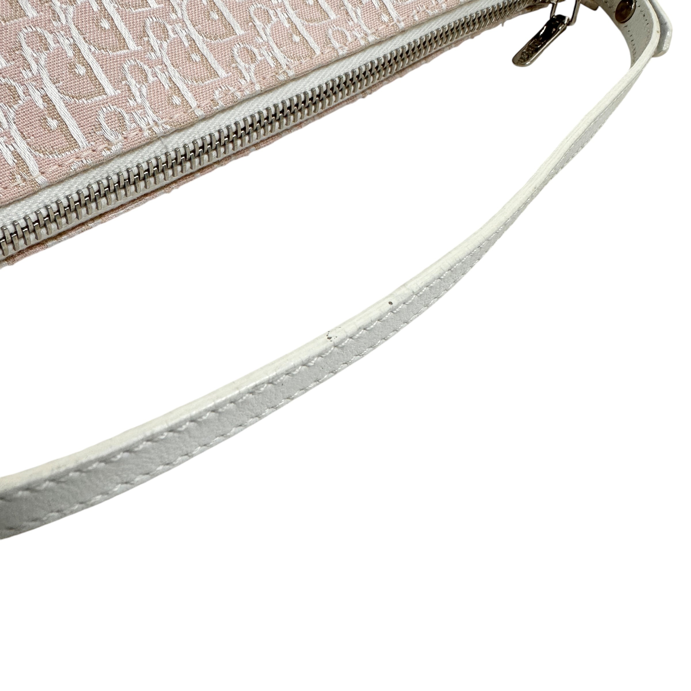 Christian Dior ディオール トロッター アクセサリーポーチ