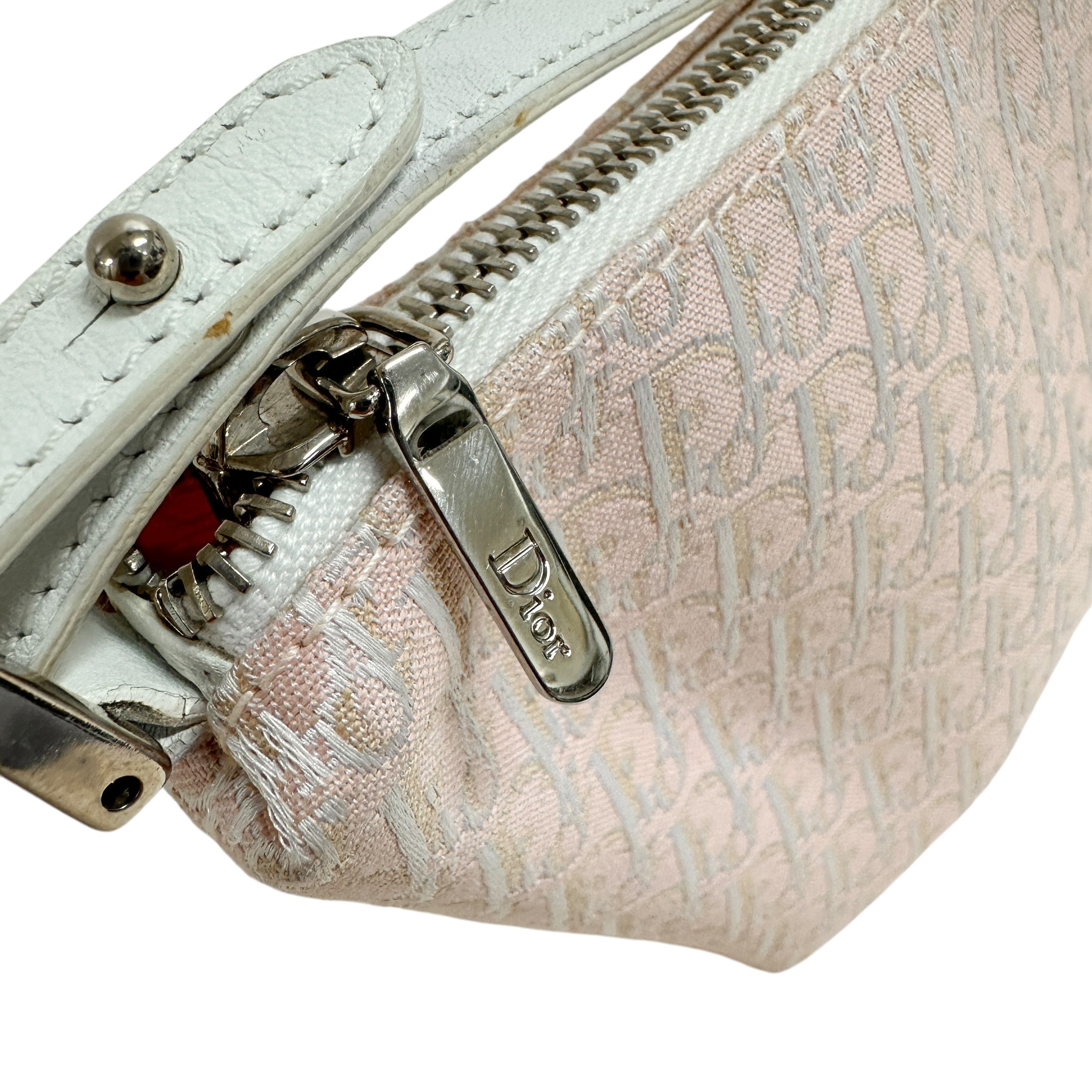 Christian Dior ディオール トロッター アクセサリーポーチ